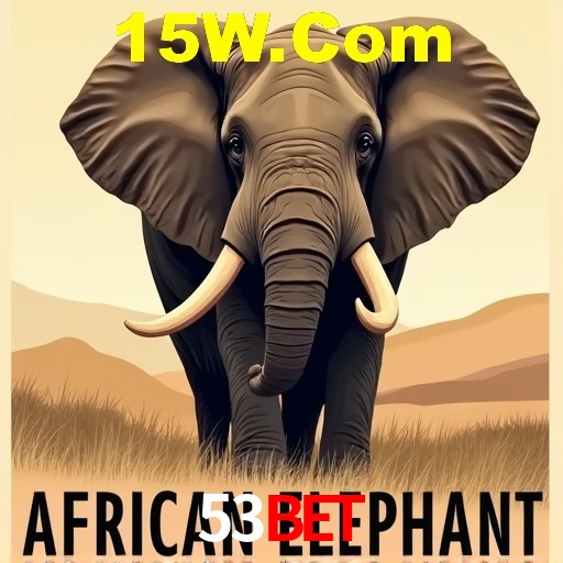 A Experiência Imersiva dos Cassinos Ao Vivo no 53bet